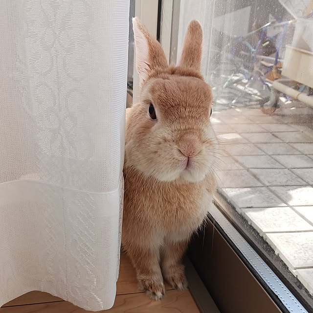 aiさんの部屋