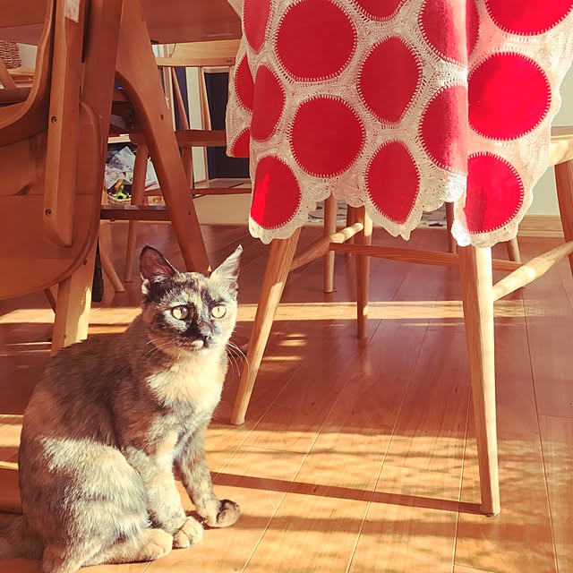 risaneko0126さんの実例写真