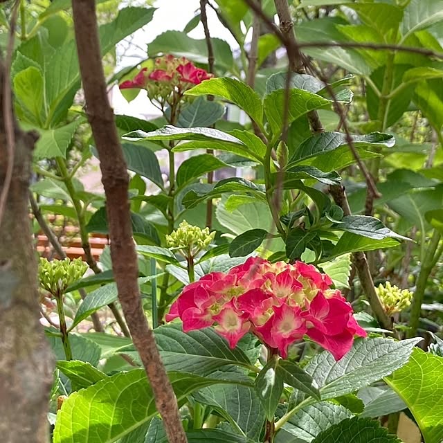 min_nimさんの実例写真