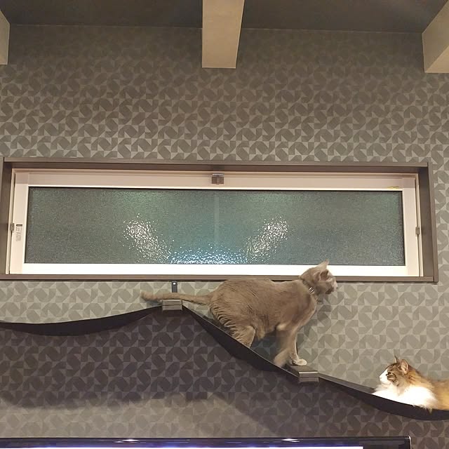 BLACKさんの実例写真