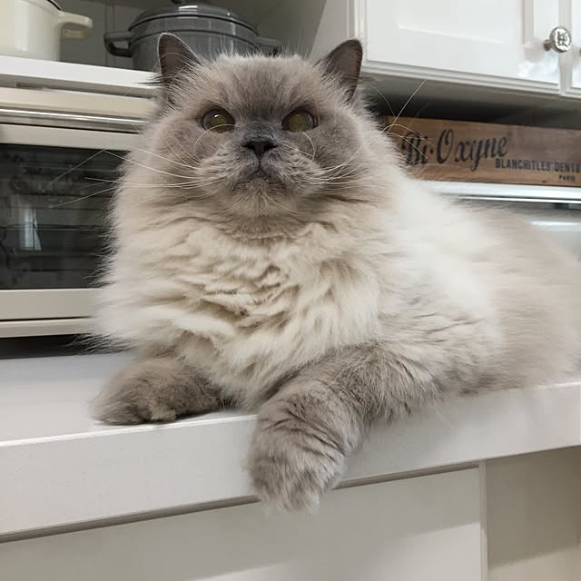 yuchiさんの実例写真