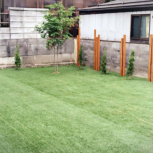 swyu.11.21さんの実例写真