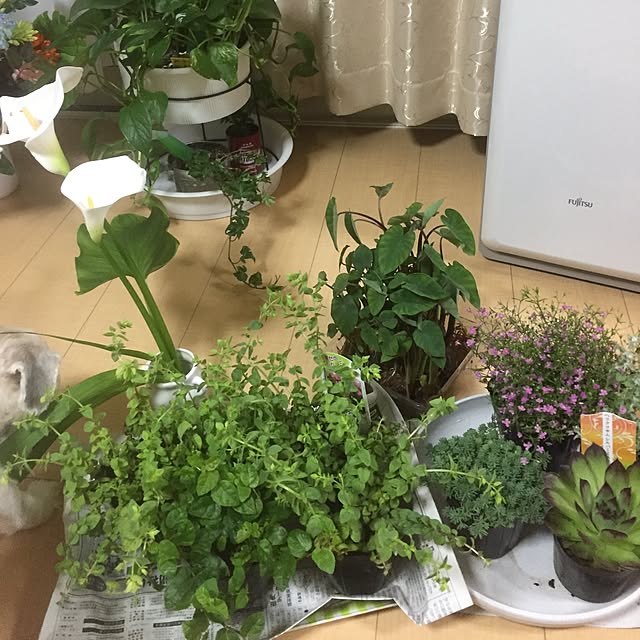 emiさんの実例写真