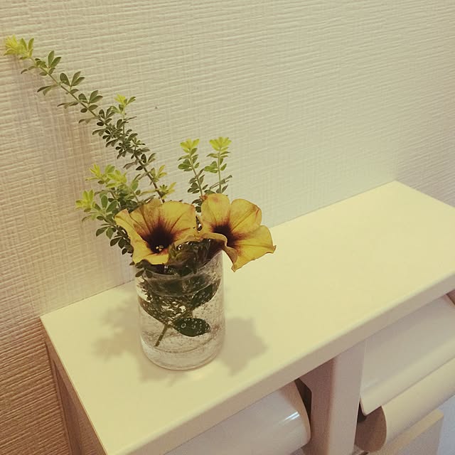 danさんの実例写真