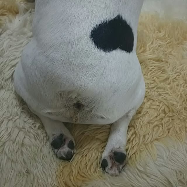 AandPさんの実例写真
