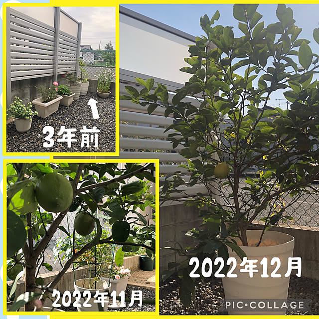 Cocoayakoさんの実例写真