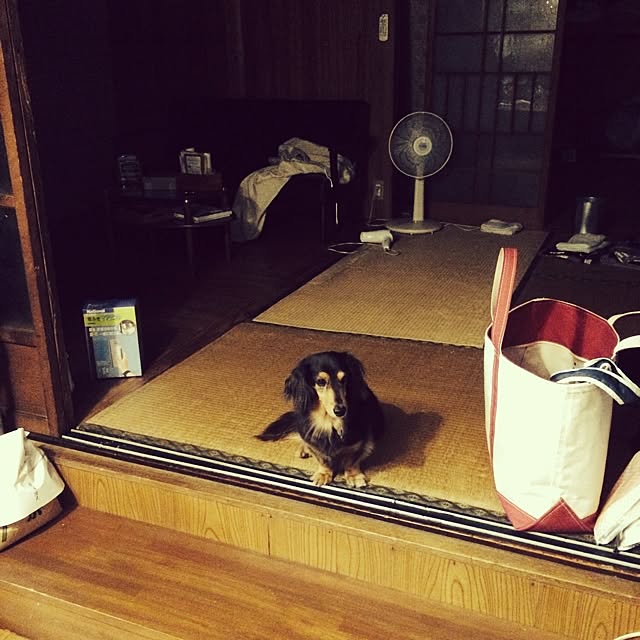sa-yaさんの実例写真