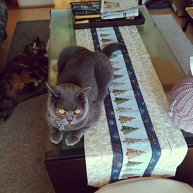 6catsさんの実例写真