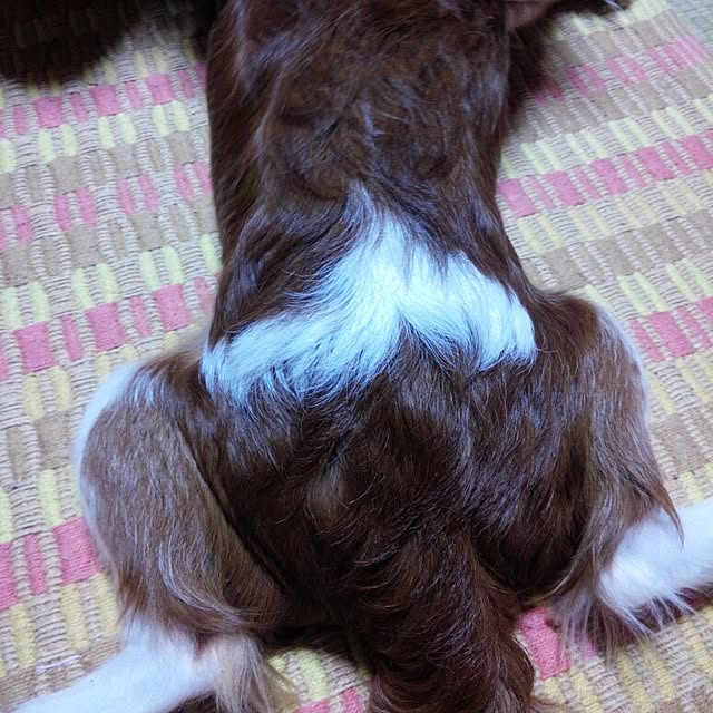 yuki.yukiさんの実例写真