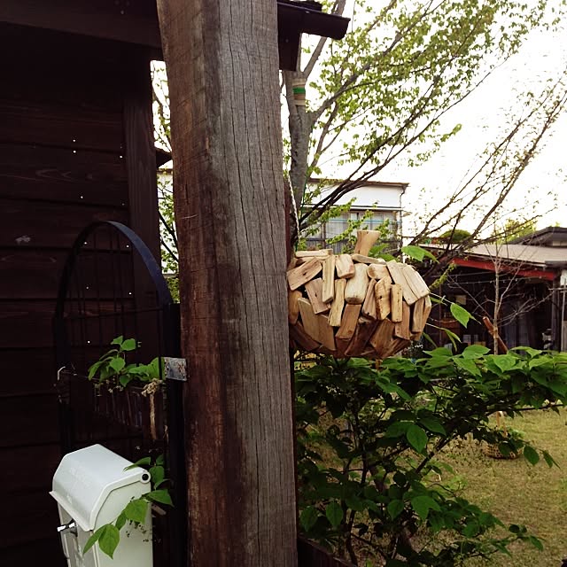 Kazuさんの実例写真