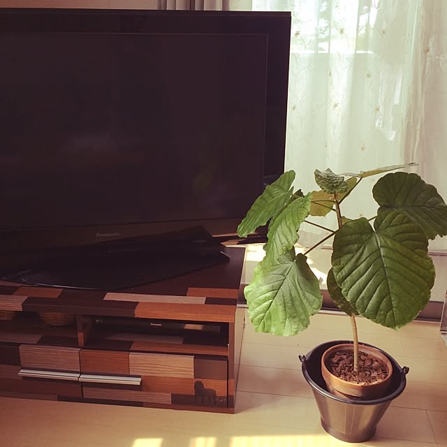 sayunaさんの実例写真