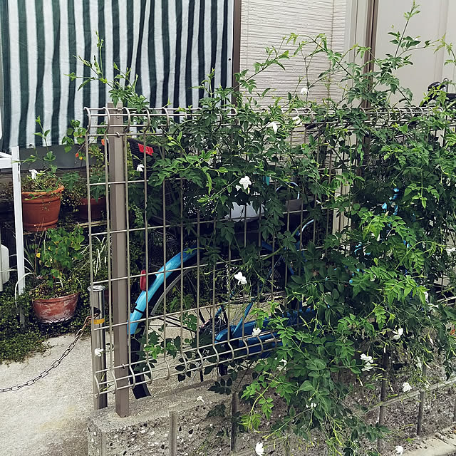 hana0423さんの実例写真