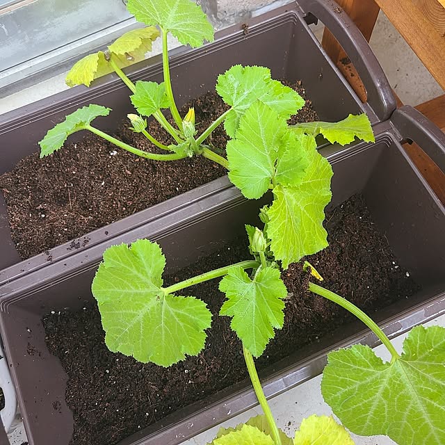 monnさんの部屋