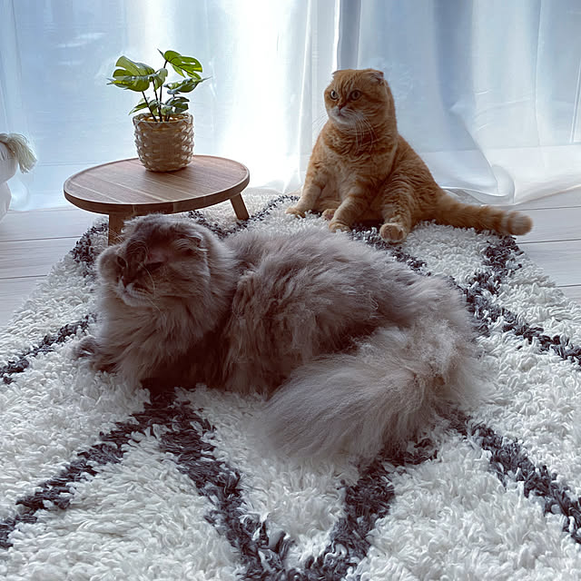 Mahoさんの実例写真