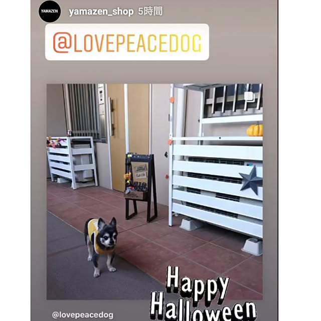 lovepeaceさんの実例写真