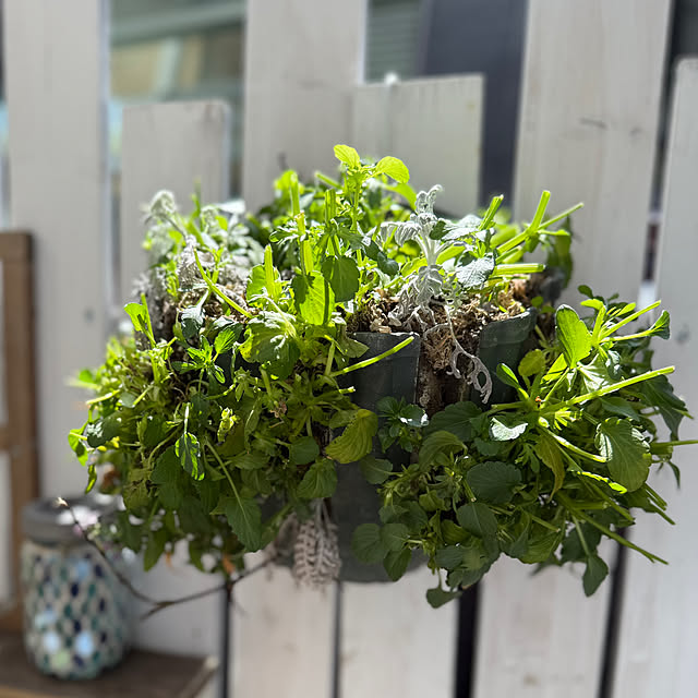 asako.10さんの部屋