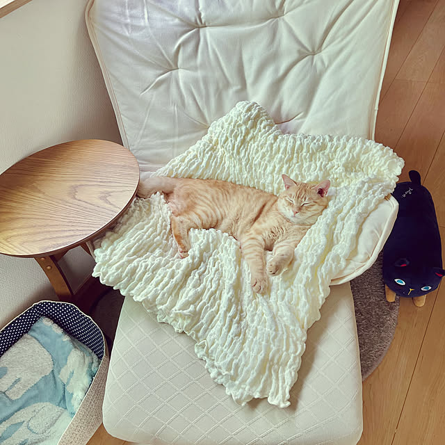 chiiさんの部屋