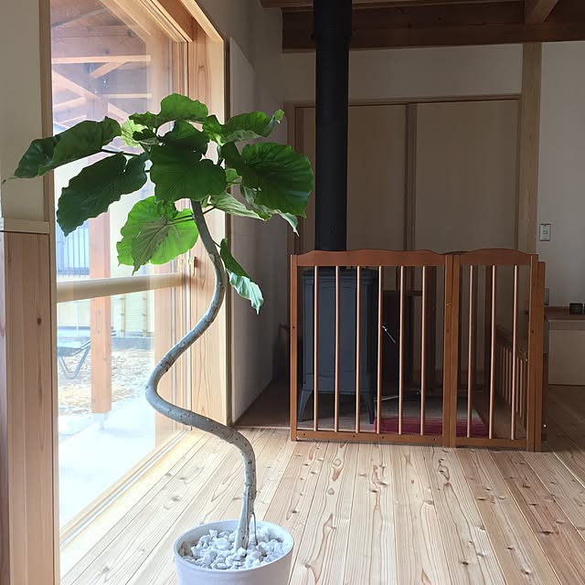 teruliさんの実例写真