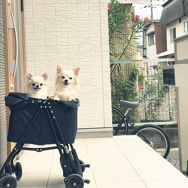 Mihocoさんの実例写真