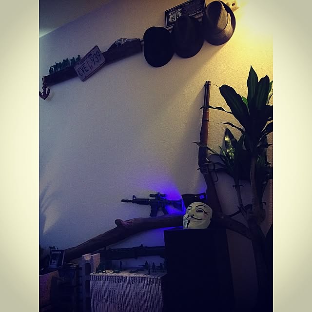 greenarmymenさんの実例写真