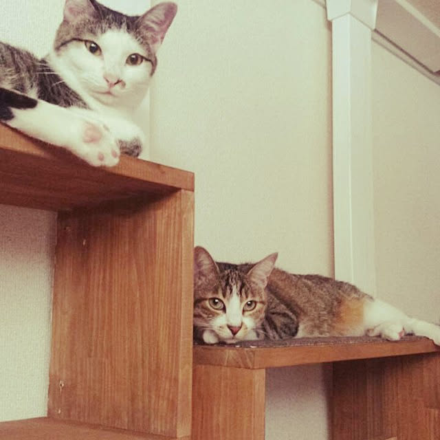 nanaさんの実例写真