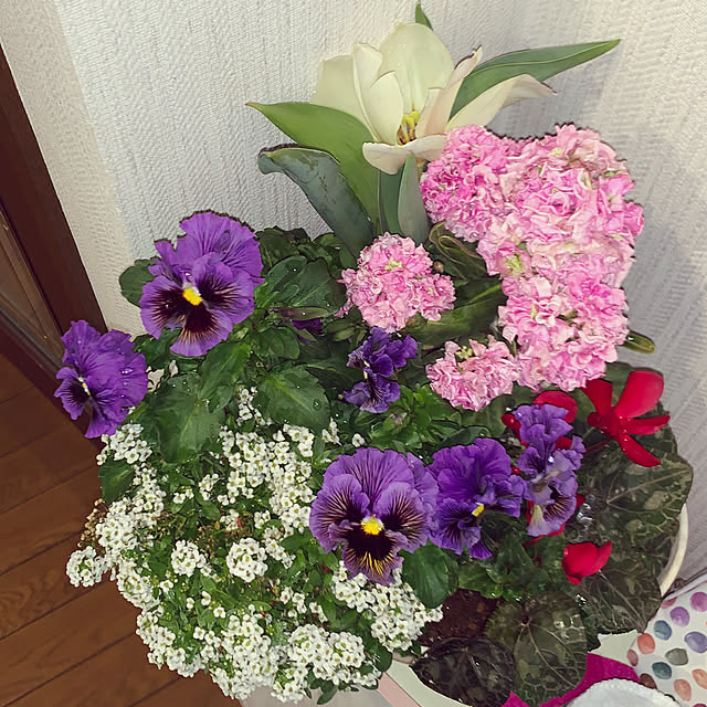 KYONさんの実例写真