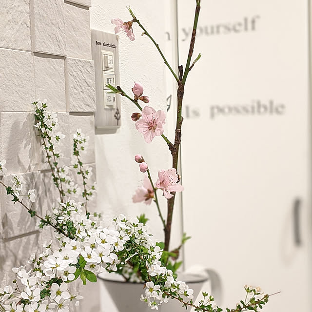 Sakura_hanaさんの実例写真