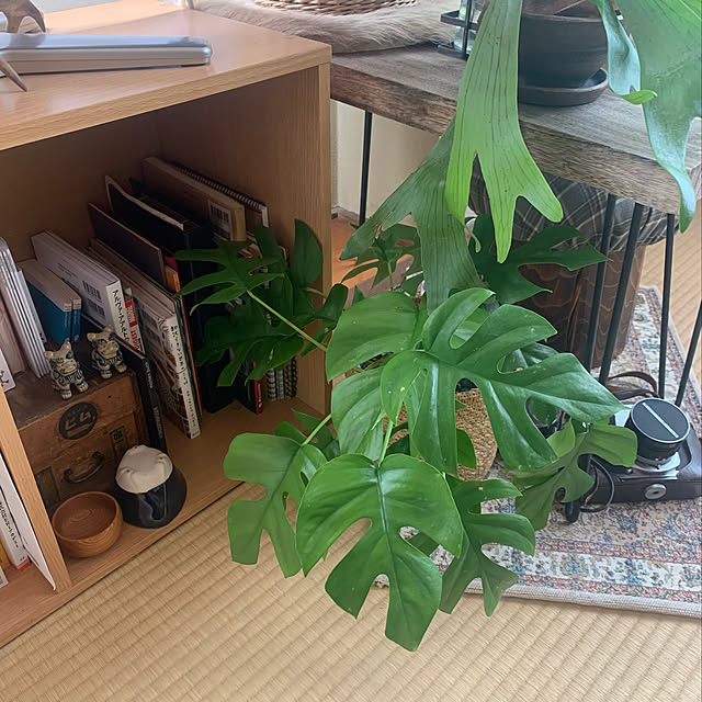 nao.roomさんの実例写真