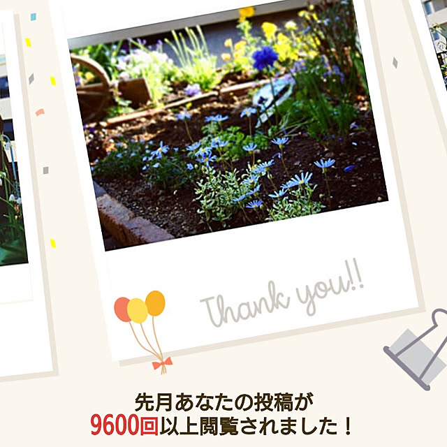 yukiさんの実例写真