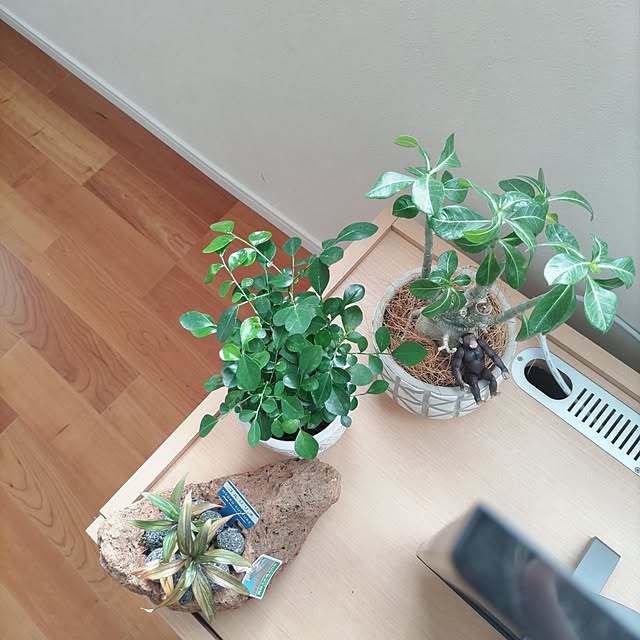 Haさんの部屋