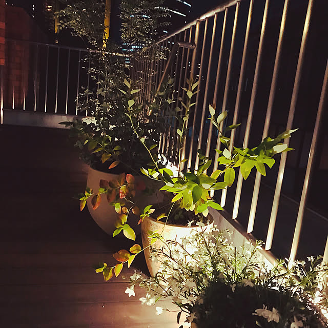 liaison_paris_tokyoさんの実例写真
