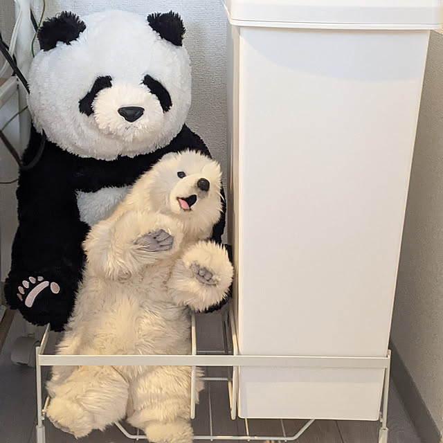sinsinさんの実例写真