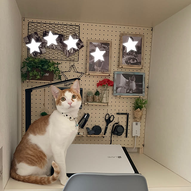 Miyureさんの実例写真