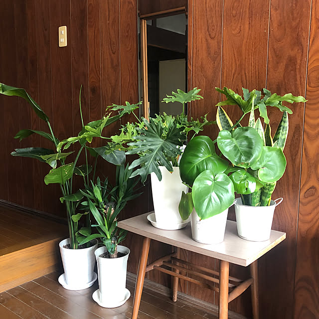 conatuさんの部屋