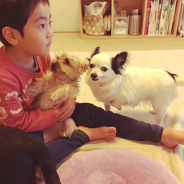 ohanaさんの実例写真