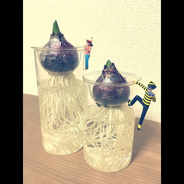 gumiminさんの実例写真