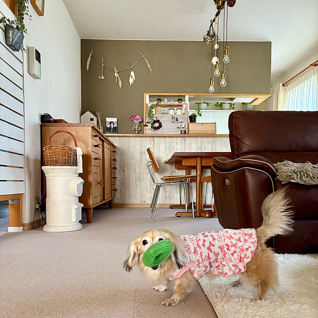 chachamamaさんの部屋