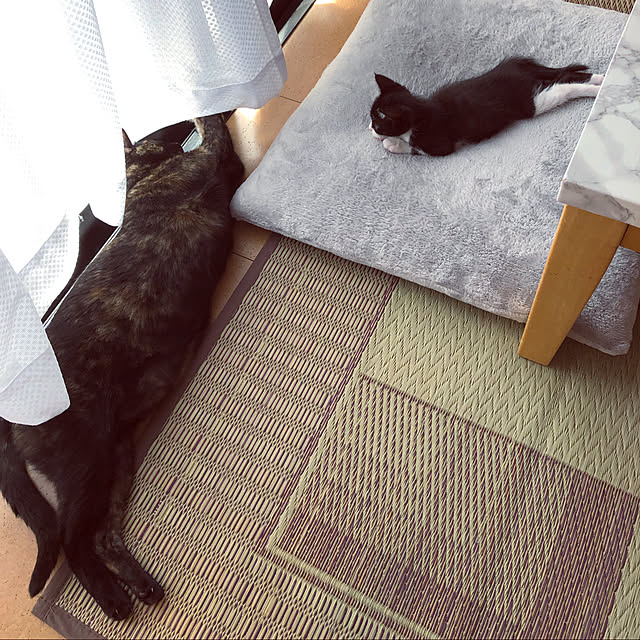 kanaさんの実例写真