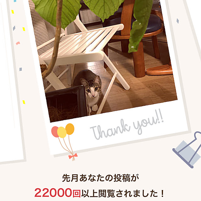 nekomiさんの実例写真