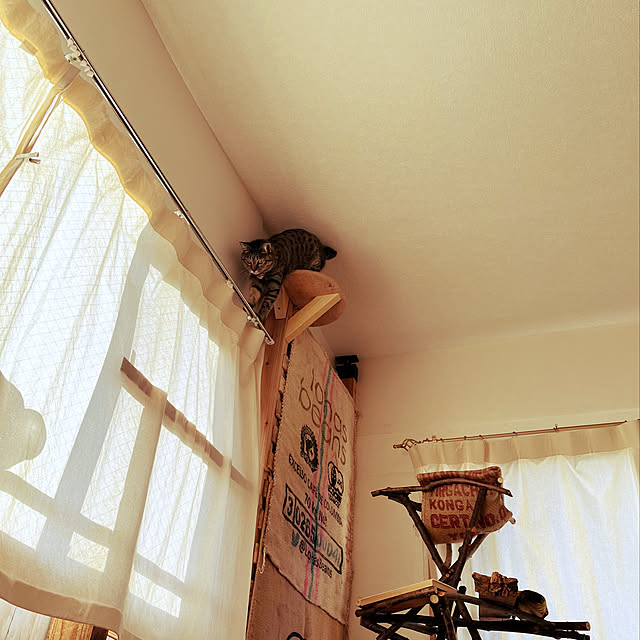 Mさんの実例写真
