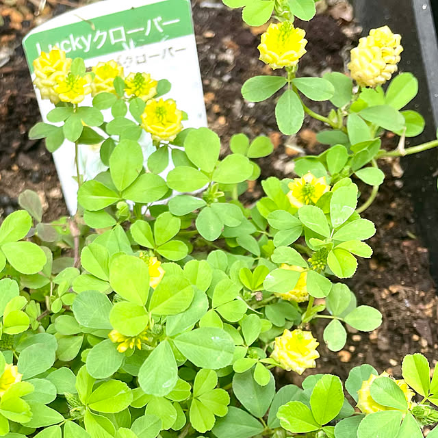 mo-nosukeさんの部屋