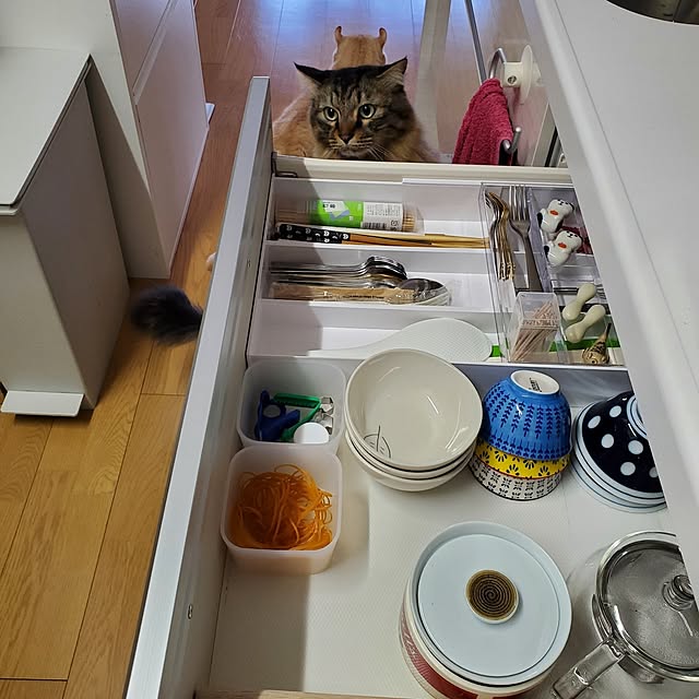 makoさんの部屋