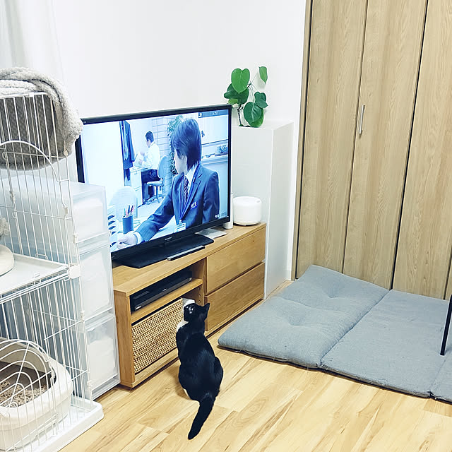 hihaさんの実例写真