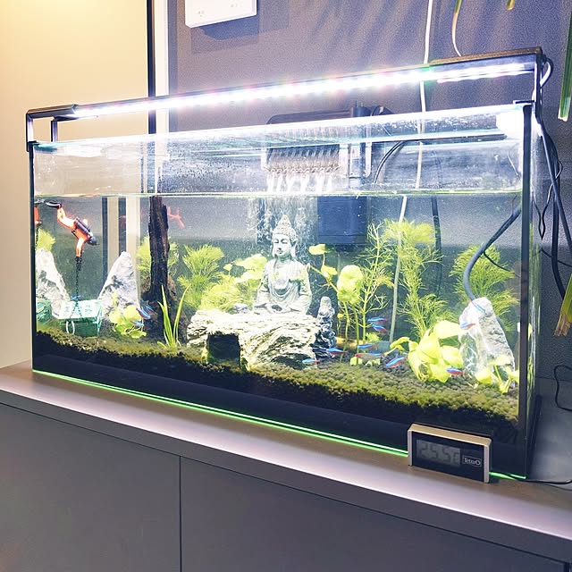 iegomori0621さんの実例写真