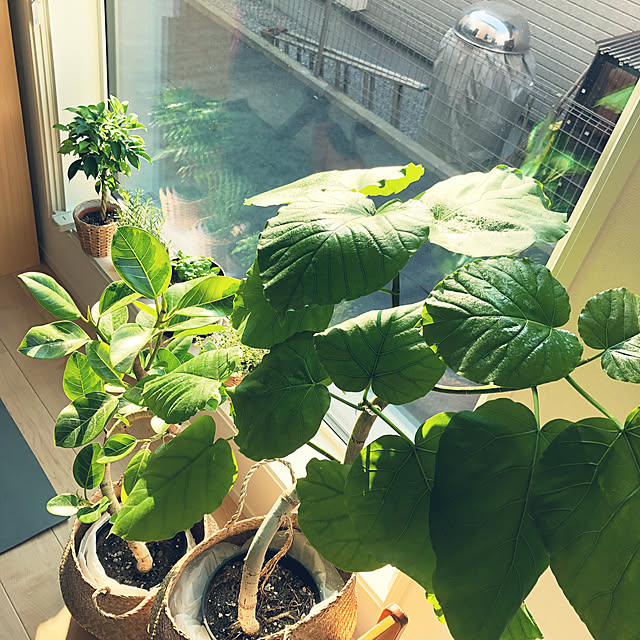 jolisukeさんの実例写真