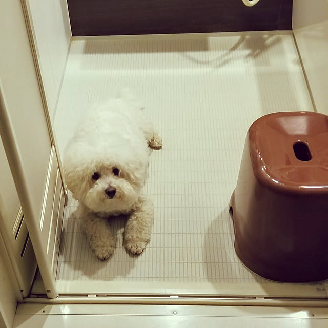 takoさんの実例写真