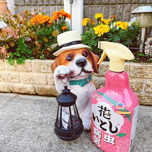 eriharuさんの実例写真