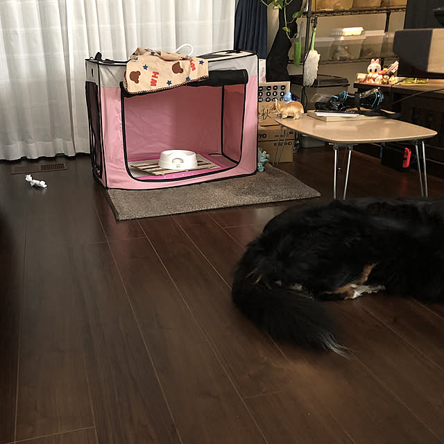 miyukiさんの実例写真