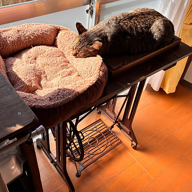 mikan161さんの実例写真