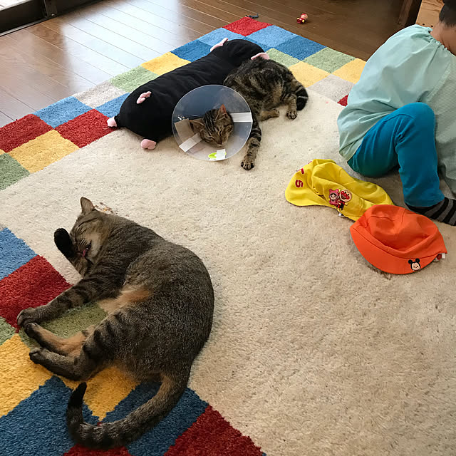 pepeさんの実例写真